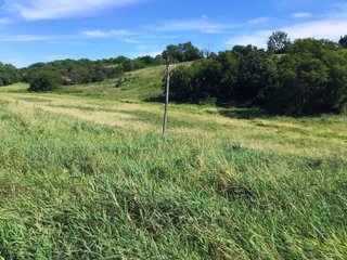 Green County, Wisconsin Farmland - LAND AUCTION - 276+/- ACRES OFFERED IN 5 TRACTS, COMBINATIONS OR AS A WHOLE IN GREEN COUNTY, WISCONSIN