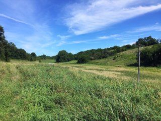 Green County, Wisconsin Farmland - LAND AUCTION - 276+/- ACRES OFFERED IN 5 TRACTS, COMBINATIONS OR AS A WHOLE IN GREEN COUNTY, WISCONSIN
