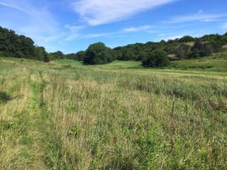 Green County, Wisconsin Farmland - LAND AUCTION - 276+/- ACRES OFFERED IN 5 TRACTS, COMBINATIONS OR AS A WHOLE IN GREEN COUNTY, WISCONSIN