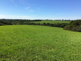 Green County, Wisconsin Farmland - LAND AUCTION - 276+/- ACRES OFFERED IN 5 TRACTS, COMBINATIONS OR AS A WHOLE IN GREEN COUNTY, WISCONSIN