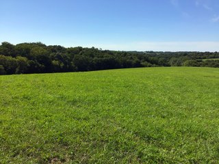 Green County, Wisconsin Farmland - LAND AUCTION - 276+/- ACRES OFFERED IN 5 TRACTS, COMBINATIONS OR AS A WHOLE IN GREEN COUNTY, WISCONSIN