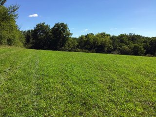 Green County, Wisconsin Farmland - LAND AUCTION - 276+/- ACRES OFFERED IN 5 TRACTS, COMBINATIONS OR AS A WHOLE IN GREEN COUNTY, WISCONSIN