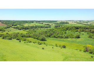 Green County, Wisconsin Farmland - LAND AUCTION - 276+/- ACRES OFFERED IN 5 TRACTS, COMBINATIONS OR AS A WHOLE IN GREEN COUNTY, WISCONSIN