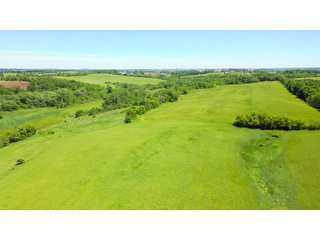 Green County, Wisconsin Farmland - LAND AUCTION - 276+/- ACRES OFFERED IN 5 TRACTS, COMBINATIONS OR AS A WHOLE IN GREEN COUNTY, WISCONSIN
