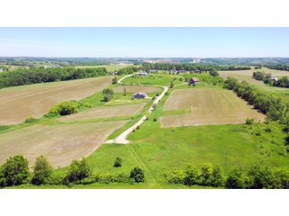 Green County, Wisconsin Farmland - LAND AUCTION - 276+/- ACRES OFFERED IN 5 TRACTS, COMBINATIONS OR AS A WHOLE IN GREEN COUNTY, WISCONSIN