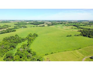 Green County, Wisconsin Farmland - LAND AUCTION - 276+/- ACRES OFFERED IN 5 TRACTS, COMBINATIONS OR AS A WHOLE IN GREEN COUNTY, WISCONSIN