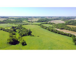 Green County, Wisconsin Farmland - LAND AUCTION - 276+/- ACRES OFFERED IN 5 TRACTS, COMBINATIONS OR AS A WHOLE IN GREEN COUNTY, WISCONSIN