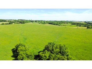 Green County, Wisconsin Farmland - LAND AUCTION - 276+/- ACRES OFFERED IN 5 TRACTS, COMBINATIONS OR AS A WHOLE IN GREEN COUNTY, WISCONSIN