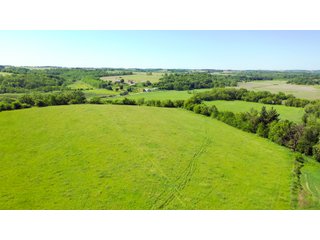 Green County, Wisconsin Farmland - LAND AUCTION - 276+/- ACRES OFFERED IN 5 TRACTS, COMBINATIONS OR AS A WHOLE IN GREEN COUNTY, WISCONSIN