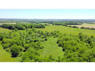 Tract 2in Green County, Wisconsin - LAND AUCTION - 276+/- ACRES OFFERED IN 5 TRACTS, COMBINATIONS OR AS A WHOLE IN GREEN COUNTY, WISCONSIN