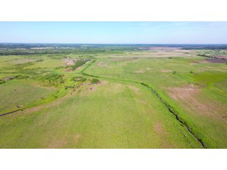 Green County, Wisconsin Farmland - LAND AUCTION - 276+/- ACRES OFFERED IN 5 TRACTS, COMBINATIONS OR AS A WHOLE IN GREEN COUNTY, WISCONSIN