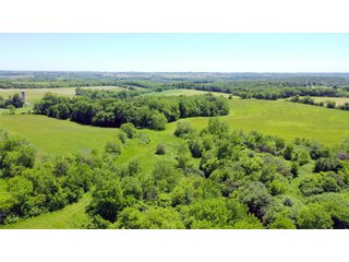 Tract 5 in Green County, Wisconsin - LAND AUCTION - 276+/- ACRES OFFERED IN 5 TRACTS, COMBINATIONS OR AS A WHOLE IN GREEN COUNTY, WISCONSIN
