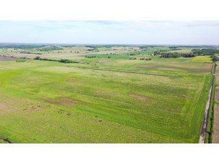 Green County, Wisconsin Farmland - LAND AUCTION - 276+/- ACRES OFFERED IN 5 TRACTS, COMBINATIONS OR AS A WHOLE IN GREEN COUNTY, WISCONSIN