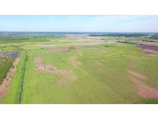 Green County, Wisconsin Farmland - LAND AUCTION - 276+/- ACRES OFFERED IN 5 TRACTS, COMBINATIONS OR AS A WHOLE IN GREEN COUNTY, WISCONSIN