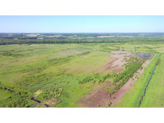 Green County, Wisconsin Farmland - LAND AUCTION - 276+/- ACRES OFFERED IN 5 TRACTS, COMBINATIONS OR AS A WHOLE IN GREEN COUNTY, WISCONSIN