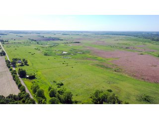 Green County, Wisconsin Farmland - LAND AUCTION - 276+/- ACRES OFFERED IN 5 TRACTS, COMBINATIONS OR AS A WHOLE IN GREEN COUNTY, WISCONSIN