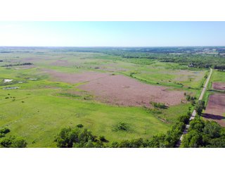 Green County, Wisconsin Farmland - LAND AUCTION - 276+/- ACRES OFFERED IN 5 TRACTS, COMBINATIONS OR AS A WHOLE IN GREEN COUNTY, WISCONSIN