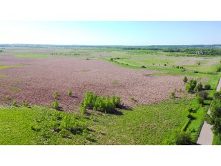 Green County, Wisconsin Farmland - LAND AUCTION - 276+/- ACRES OFFERED IN 5 TRACTS, COMBINATIONS OR AS A WHOLE IN GREEN COUNTY, WISCONSIN
