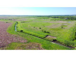 Green County, Wisconsin Farmland - LAND AUCTION - 276+/- ACRES OFFERED IN 5 TRACTS, COMBINATIONS OR AS A WHOLE IN GREEN COUNTY, WISCONSIN