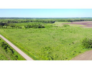 Green County, Wisconsin Farmland - LAND AUCTION - 276+/- ACRES OFFERED IN 5 TRACTS, COMBINATIONS OR AS A WHOLE IN GREEN COUNTY, WISCONSIN