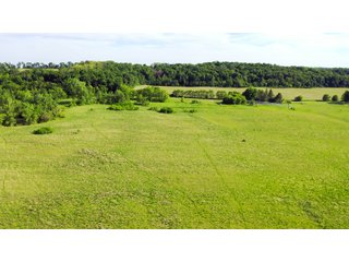 Green County, Wisconsin Farmland - LAND AUCTION - 276+/- ACRES OFFERED IN 5 TRACTS, COMBINATIONS OR AS A WHOLE IN GREEN COUNTY, WISCONSIN