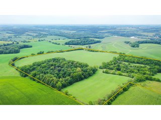 Green County, Wisconsin Farmland - LAND AUCTION - 276+/- ACRES OFFERED IN 5 TRACTS, COMBINATIONS OR AS A WHOLE IN GREEN COUNTY, WISCONSIN