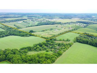 Green County, Wisconsin Farmland - LAND AUCTION - 276+/- ACRES OFFERED IN 5 TRACTS, COMBINATIONS OR AS A WHOLE IN GREEN COUNTY, WISCONSIN