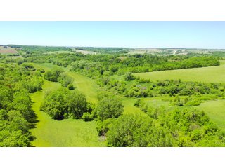 Tracts 1 & 3 in Green County, Wisconsin - LAND AUCTION - 276+/- ACRES OFFERED IN 5 TRACTS, COMBINATIONS OR AS A WHOLE IN GREEN COUNTY, WISCONSIN