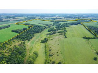 Green County, Wisconsin Farmland - LAND AUCTION - 276+/- ACRES OFFERED IN 5 TRACTS, COMBINATIONS OR AS A WHOLE IN GREEN COUNTY, WISCONSIN