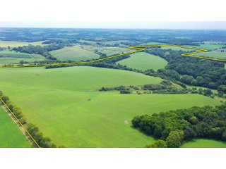 Green County, Wisconsin Farmland - LAND AUCTION - 276+/- ACRES OFFERED IN 5 TRACTS, COMBINATIONS OR AS A WHOLE IN GREEN COUNTY, WISCONSIN