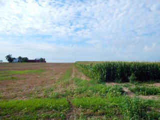 Whitley County, Indiana Farmland - LAND AUCTION - 188+/- ACRES OFFERED IN 9 TRACTS, COMBINATIONS OR AS A WHOLE IN WHITLEY COUNTY, INDIANA