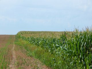 Whitley County, Indiana Farmland - LAND AUCTION - 188+/- ACRES OFFERED IN 9 TRACTS, COMBINATIONS OR AS A WHOLE IN WHITLEY COUNTY, INDIANA