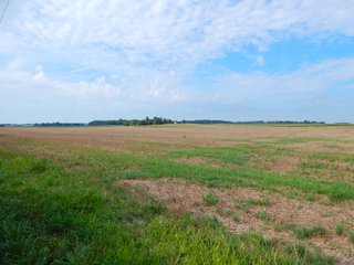 Whitley County, Indiana Farmland - LAND AUCTION - 188+/- ACRES OFFERED IN 9 TRACTS, COMBINATIONS OR AS A WHOLE IN WHITLEY COUNTY, INDIANA
