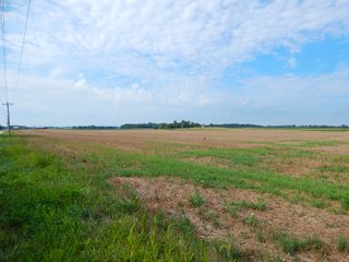 Whitley County, Indiana Farmland - LAND AUCTION - 188+/- ACRES OFFERED IN 9 TRACTS, COMBINATIONS OR AS A WHOLE IN WHITLEY COUNTY, INDIANA