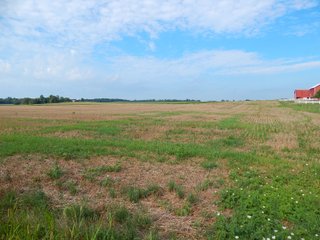 Whitley County, Indiana Farmland - LAND AUCTION - 188+/- ACRES OFFERED IN 9 TRACTS, COMBINATIONS OR AS A WHOLE IN WHITLEY COUNTY, INDIANA