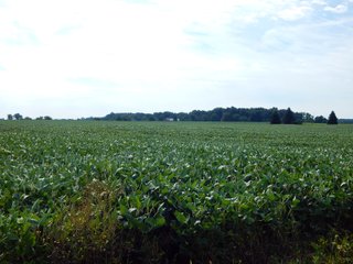 Whitley County, Indiana Farmland - LAND AUCTION - 188+/- ACRES OFFERED IN 9 TRACTS, COMBINATIONS OR AS A WHOLE IN WHITLEY COUNTY, INDIANA