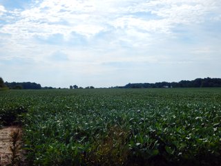 Whitley County, Indiana Farmland - LAND AUCTION - 188+/- ACRES OFFERED IN 9 TRACTS, COMBINATIONS OR AS A WHOLE IN WHITLEY COUNTY, INDIANA