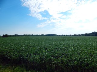 Whitley County, Indiana Farmland - LAND AUCTION - 188+/- ACRES OFFERED IN 9 TRACTS, COMBINATIONS OR AS A WHOLE IN WHITLEY COUNTY, INDIANA