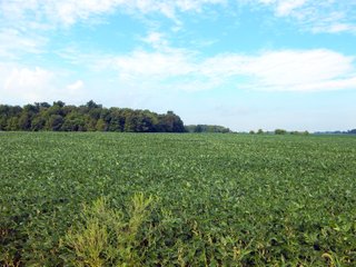 Whitley County, Indiana Farmland - LAND AUCTION - 188+/- ACRES OFFERED IN 9 TRACTS, COMBINATIONS OR AS A WHOLE IN WHITLEY COUNTY, INDIANA