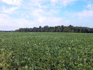 Whitley County, Indiana Farmland - LAND AUCTION - 188+/- ACRES OFFERED IN 9 TRACTS, COMBINATIONS OR AS A WHOLE IN WHITLEY COUNTY, INDIANA