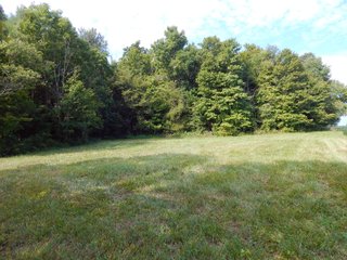 Whitley County, Indiana Farmland - LAND AUCTION - 188+/- ACRES OFFERED IN 9 TRACTS, COMBINATIONS OR AS A WHOLE IN WHITLEY COUNTY, INDIANA