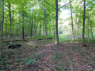 Whitley County, Indiana Farmland - LAND AUCTION - 188+/- ACRES OFFERED IN 9 TRACTS, COMBINATIONS OR AS A WHOLE IN WHITLEY COUNTY, INDIANA