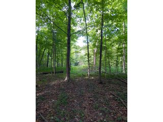 Whitley County, Indiana Farmland - LAND AUCTION - 188+/- ACRES OFFERED IN 9 TRACTS, COMBINATIONS OR AS A WHOLE IN WHITLEY COUNTY, INDIANA