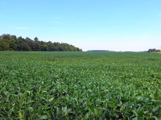 Whitley County, Indiana Farmland - LAND AUCTION - 188+/- ACRES OFFERED IN 9 TRACTS, COMBINATIONS OR AS A WHOLE IN WHITLEY COUNTY, INDIANA