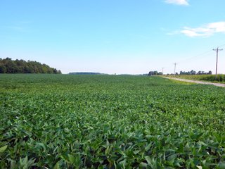 Whitley County, Indiana Farmland - LAND AUCTION - 188+/- ACRES OFFERED IN 9 TRACTS, COMBINATIONS OR AS A WHOLE IN WHITLEY COUNTY, INDIANA