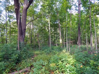Whitley County, Indiana Farmland - LAND AUCTION - 188+/- ACRES OFFERED IN 9 TRACTS, COMBINATIONS OR AS A WHOLE IN WHITLEY COUNTY, INDIANA