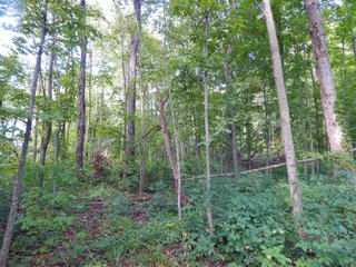 Whitley County, Indiana Farmland - LAND AUCTION - 188+/- ACRES OFFERED IN 9 TRACTS, COMBINATIONS OR AS A WHOLE IN WHITLEY COUNTY, INDIANA