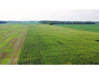 Whitley County, Indiana Farmland - LAND AUCTION - 188+/- ACRES OFFERED IN 9 TRACTS, COMBINATIONS OR AS A WHOLE IN WHITLEY COUNTY, INDIANA