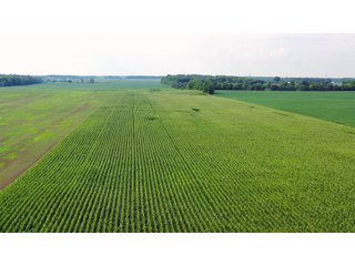 Whitley County, Indiana Farmland - LAND AUCTION - 188+/- ACRES OFFERED IN 9 TRACTS, COMBINATIONS OR AS A WHOLE IN WHITLEY COUNTY, INDIANA