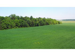 Whitley County, Indiana Farmland - LAND AUCTION - 188+/- ACRES OFFERED IN 9 TRACTS, COMBINATIONS OR AS A WHOLE IN WHITLEY COUNTY, INDIANA